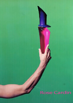 pierre cardin