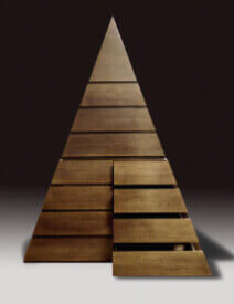 pierre cardin